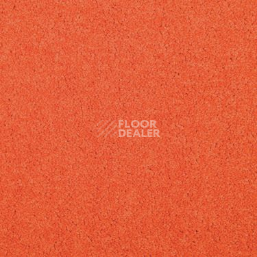 Ковровая плитка Modulyss Cambridge Xtra 25 f фото 1 | FLOORDEALER